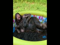 [ Scat XXX Movie ] Nasty fat whore swims in scat and dirt